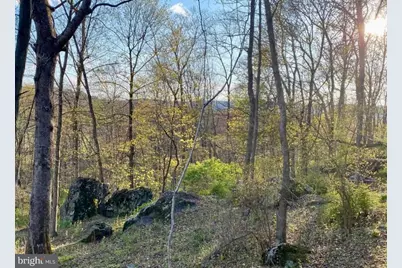 12509 Stottlemyer Road, Myersville, MD 21773 - Photo 22