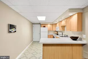303 Cone Branch Dr, Middletown, MD 21769 - Photo 54