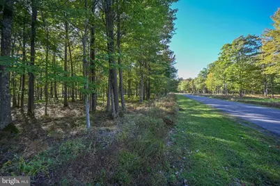 47 Fern Loop Drive, Mc Henry, MD 21541 - Photo 10