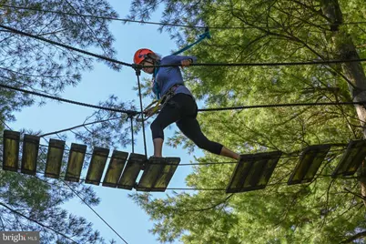 Lot 129 North Camp, Mc Henry, MD 21541 - Photo 50