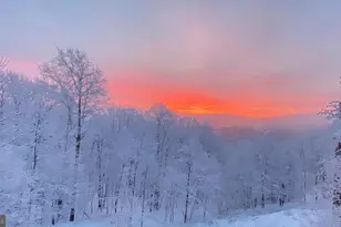 188 Highline Dr, Mc Henry, MD 21541 - Photo 120