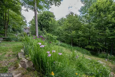 188 Highline Drive, Mc Henry, MD 21541 - Photo 100