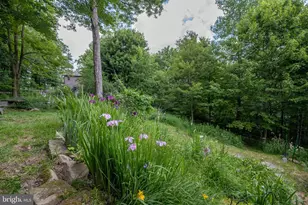 188 Highline Dr, Mc Henry, MD 21541 - Photo 100