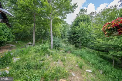 188 Highline Drive, Mc Henry, MD 21541 - Photo 108