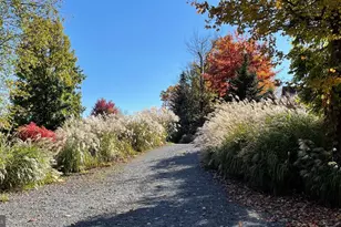 188 Highline Dr, Mc Henry, MD 21541 - Photo 116