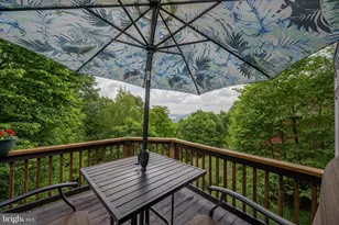 188 Highline Dr, Mc Henry, MD 21541 - Photo 10