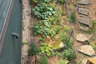 188 Highline Dr, Mc Henry, MD 21541 - Photo 102