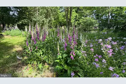 188 Highline Drive, Mc Henry, MD 21541 - Photo 10