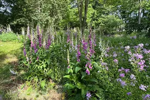 188 Highline Dr, Mc Henry, MD 21541 - Photo 10