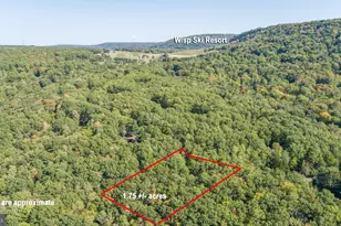 Lot 9 Normas Way, Mc Henry, MD 21541 - Photo 1