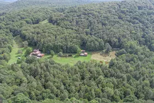 2527 Pigs Ear Rd, Grantsville, MD 21536 - Photo 86