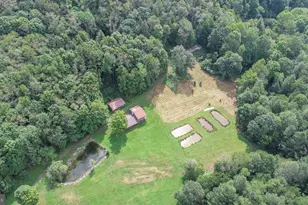 2527 Pigs Ear Rd, Grantsville, MD 21536 - Photo 84