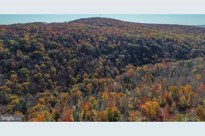 2527 Pigs Ear Road, Grantsville, MD 21536 - Photo 88