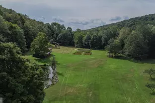 2527 Pigs Ear Rd, Grantsville, MD 21536 - Photo 48