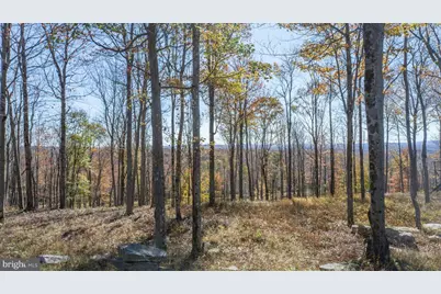115 Campfire Drive, Mc Henry, MD 21541 - Photo 6