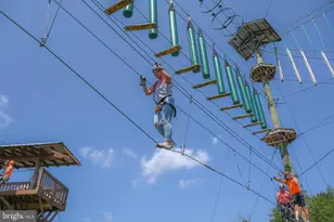 1118 Lake Shore Dr, Oakland, MD 21550 - Photo 70