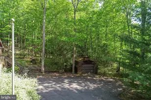 1118 Lake Shore Dr, Oakland, MD 21550 - Photo 94