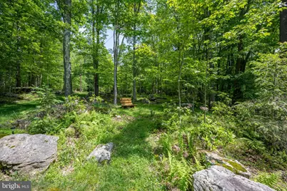 328 Stool Rock Road, Oakland, MD 21550 - Photo 108