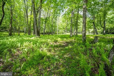 328 Stool Rock Road, Oakland, MD 21550 - Photo 90