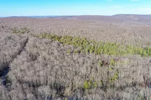 328 Stool Rock Rd, Oakland, MD 21550 - Photo 26