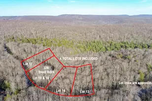 328 Stool Rock Rd, Oakland, MD 21550 - Photo 10