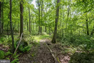 328 Stool Rock Rd, Oakland, MD 21550 - Photo 104