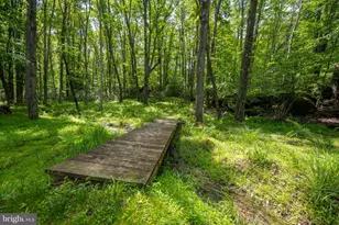 328 Stool Rock Rd, Oakland, MD 21550 - Photo 88