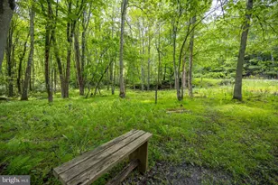 328 Stool Rock Rd, Oakland, MD 21550 - Photo 80