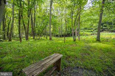 328 Stool Rock Road, Oakland, MD 21550 - Photo 88