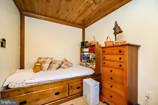 328 Stool Rock Rd, Oakland, MD 21550 - Photo 36