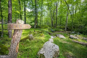 328 Stool Rock Rd, Oakland, MD 21550 - Photo 20