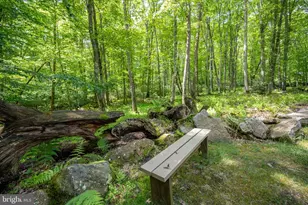 328 Stool Rock Rd, Oakland, MD 21550 - Photo 18