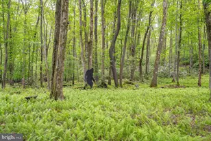 328 Stool Rock Rd, Oakland, MD 21550 - Photo 98