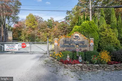 328 Stool Rock Road, Oakland, MD 21550 - Photo 126