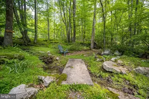 328 Stool Rock Rd, Oakland, MD 21550 - Photo 32