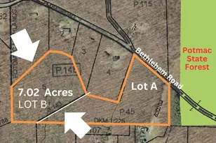 Bethlehem Rd, Oakland, MD 21550 - Photo 1