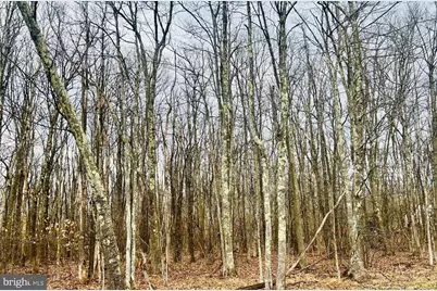 Bethlehem Road #LOT B (7.02 AC), Oakland, MD 21550 - Photo 4