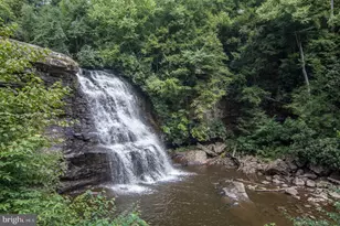 56 Bee Tree Ln, Oakland, MD 21550 - Photo 124