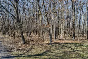 433 San Francisco St, Oakland, MD 21550 - Photo 56