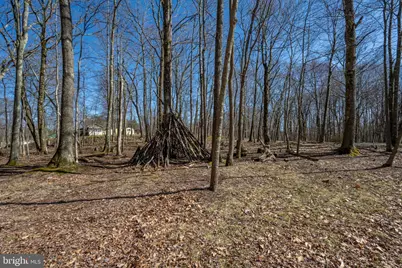 433 San Francisco Street, Oakland, MD 21550 - Photo 4