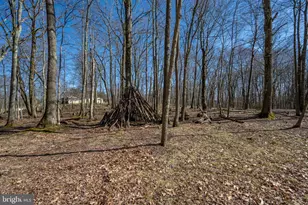 433 San Francisco St, Oakland, MD 21550 - Photo 4