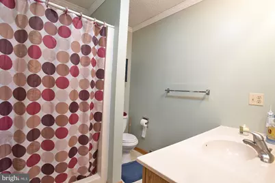 723 Kings, Oakland, MD 21550 - Photo 48