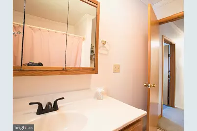 723 Kings, Oakland, MD 21550 - Photo 42