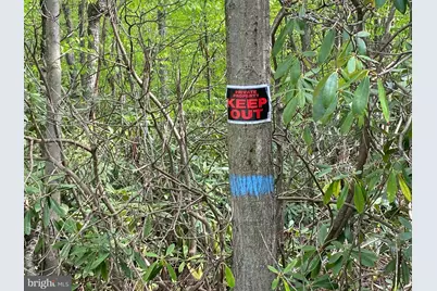 Lot 3 Deer Run Road, Oakland, MD 21550 - Photo 4