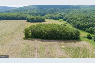 220 Diesel School Road, Accident, MD 21520 - Photo 86