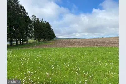 220 Diesel School Road, Accident, MD 21520 - Photo 4