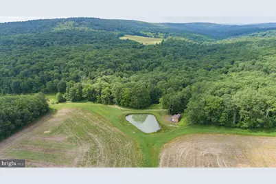 220 Diesel School Road, Accident, MD 21520 - Photo 84