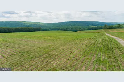 220 Diesel School Road, Accident, MD 21520 - Photo 76