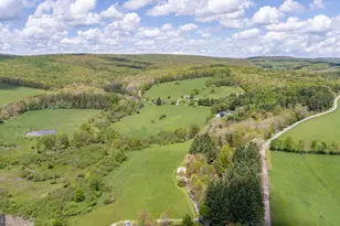 1737 King Wildesen Rd, Oakland, MD 21550 - Photo 40