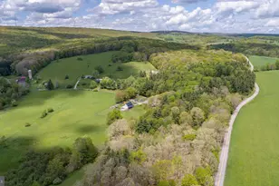 1737 King Wildesen Rd, Oakland, MD 21550 - Photo 46